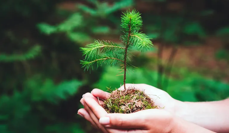 Why you (and I) should create evergreen content